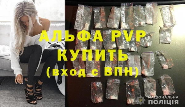 apvp Богородицк