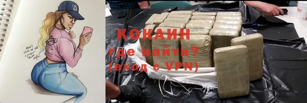 эйфоретик Бородино
