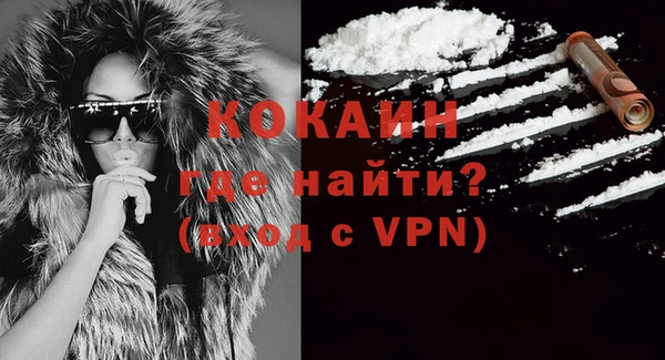 apvp Богородицк