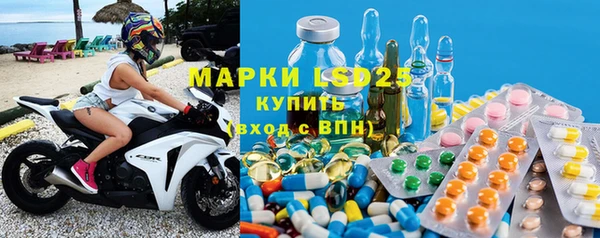 эйфоретик Бородино