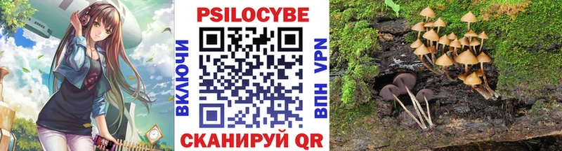 МЕГА зеркало  Волосово  Псилоцибиновые грибы Cubensis  сколько стоит 